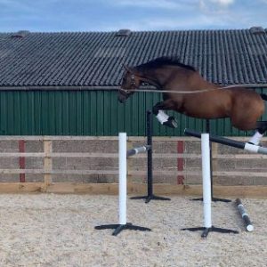 Sam-York-Horse-Jump-Image